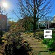 ヒメ日記 2026/01/14 05:21 投稿 碧音 熟女の風俗最終章 横浜本店