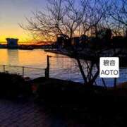 ヒメ日記 2026/01/15 05:54 投稿 碧音 熟女の風俗最終章 横浜本店