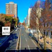 ヒメ日記 2026/01/15 09:46 投稿 碧音 熟女の風俗最終章 横浜本店