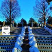 ヒメ日記 2026/01/15 14:41 投稿 碧音 熟女の風俗最終章 横浜本店