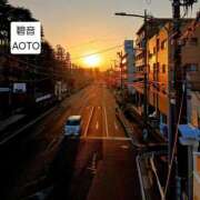 ヒメ日記 2026/01/16 19:49 投稿 碧音 熟女の風俗最終章 横浜本店