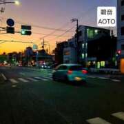 ヒメ日記 2026/01/17 06:34 投稿 碧音 熟女の風俗最終章 横浜本店