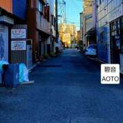 ヒメ日記 2026/01/17 08:24 投稿 碧音 熟女の風俗最終章 横浜本店