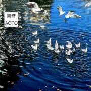 ヒメ日記 2026/01/17 13:19 投稿 碧音 熟女の風俗最終章 横浜本店