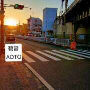 ヒメ日記 2026/01/17 15:35 投稿 碧音 熟女の風俗最終章 横浜本店