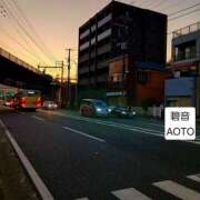 ヒメ日記 2026/01/18 15:54 投稿 碧音 熟女の風俗最終章 横浜本店