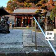 ヒメ日記 2026/01/19 09:56 投稿 碧音 熟女の風俗最終章 横浜本店