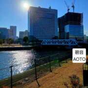 ヒメ日記 2026/01/19 10:09 投稿 碧音 熟女の風俗最終章 横浜本店