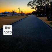 ヒメ日記 2026/01/21 06:44 投稿 碧音 熟女の風俗最終章 横浜本店