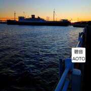 ヒメ日記 2026/01/23 06:54 投稿 碧音 熟女の風俗最終章 横浜本店