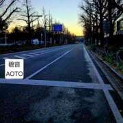 ヒメ日記 2026/01/23 07:03 投稿 碧音 熟女の風俗最終章 横浜本店