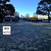 ヒメ日記 2026/01/23 16:25 投稿 碧音 熟女の風俗最終章 横浜本店