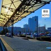 ヒメ日記 2026/01/24 10:57 投稿 碧音 熟女の風俗最終章 横浜本店