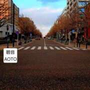 ヒメ日記 2026/01/25 13:30 投稿 碧音 熟女の風俗最終章 横浜本店