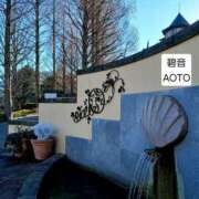 ヒメ日記 2026/01/27 10:24 投稿 碧音 熟女の風俗最終章 横浜本店