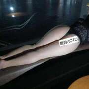 ヒメ日記 2026/01/29 09:30 投稿 碧音 熟女の風俗最終章 横浜本店