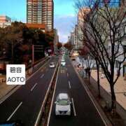 ヒメ日記 2026/01/29 13:24 投稿 碧音 熟女の風俗最終章 横浜本店