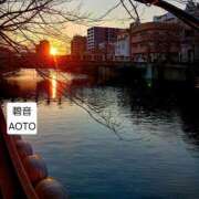 ヒメ日記 2026/01/29 15:14 投稿 碧音 熟女の風俗最終章 横浜本店