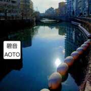 ヒメ日記 2026/01/31 12:54 投稿 碧音 熟女の風俗最終章 横浜本店