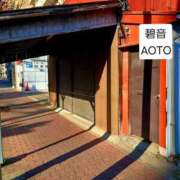 ヒメ日記 2026/01/31 13:37 投稿 碧音 熟女の風俗最終章 横浜本店