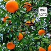 ヒメ日記 2026/01/31 15:08 投稿 碧音 熟女の風俗最終章 横浜本店