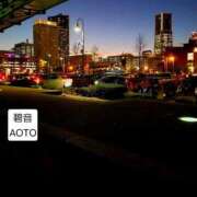 ヒメ日記 2026/02/01 19:24 投稿 碧音 熟女の風俗最終章 横浜本店