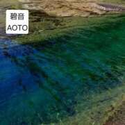 ヒメ日記 2026/02/02 08:24 投稿 碧音 熟女の風俗最終章 横浜本店