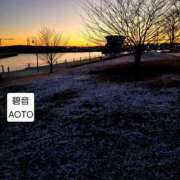 ヒメ日記 2026/02/06 21:24 投稿 碧音 熟女の風俗最終章 横浜本店