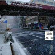 ヒメ日記 2026/02/08 12:44 投稿 碧音 熟女の風俗最終章 横浜本店