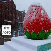 ヒメ日記 2026/02/08 13:04 投稿 碧音 熟女の風俗最終章 横浜本店