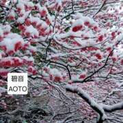 ヒメ日記 2026/02/08 14:54 投稿 碧音 熟女の風俗最終章 横浜本店