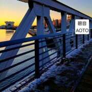 ヒメ日記 2026/02/09 09:18 投稿 碧音 熟女の風俗最終章 横浜本店