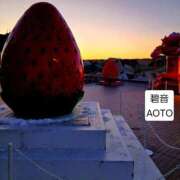 ヒメ日記 2026/02/09 17:16 投稿 碧音 熟女の風俗最終章 横浜本店