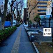 ヒメ日記 2026/02/10 15:54 投稿 碧音 熟女の風俗最終章 横浜本店