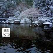 ヒメ日記 2026/02/12 15:40 投稿 碧音 熟女の風俗最終章 横浜本店