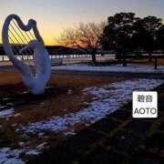 ヒメ日記 2026/02/12 21:34 投稿 碧音 熟女の風俗最終章 横浜本店