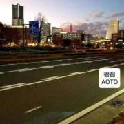 ヒメ日記 2026/02/17 16:22 投稿 碧音 熟女の風俗最終章 横浜本店