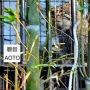 ヒメ日記 2026/02/19 08:04 投稿 碧音 熟女の風俗最終章 横浜本店