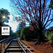 ヒメ日記 2026/02/19 13:42 投稿 碧音 熟女の風俗最終章 横浜本店