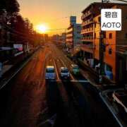 ヒメ日記 2026/02/19 16:42 投稿 碧音 熟女の風俗最終章 横浜本店