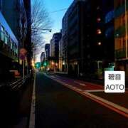 碧音 碧音(あおと)29時迄 熟女の風俗最終章 横浜本店