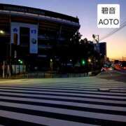 ヒメ日記 2026/02/24 19:04 投稿 碧音 熟女の風俗最終章 横浜本店