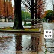 ヒメ日記 2026/02/25 09:55 投稿 碧音 熟女の風俗最終章 横浜本店