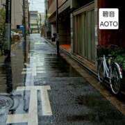 ヒメ日記 2026/02/25 11:28 投稿 碧音 熟女の風俗最終章 横浜本店