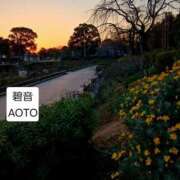 ヒメ日記 2026/02/26 20:44 投稿 碧音 熟女の風俗最終章 横浜本店