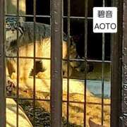 ヒメ日記 2026/02/27 10:44 投稿 碧音 熟女の風俗最終章 横浜本店