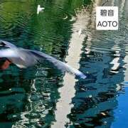 ヒメ日記 2026/02/27 16:45 投稿 碧音 熟女の風俗最終章 横浜本店