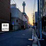 ヒメ日記 2026/03/01 16:24 投稿 碧音 熟女の風俗最終章 横浜本店