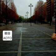 ヒメ日記 2026/03/03 14:44 投稿 碧音 熟女の風俗最終章 横浜本店