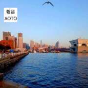 ヒメ日記 2026/03/05 07:05 投稿 碧音 熟女の風俗最終章 横浜本店